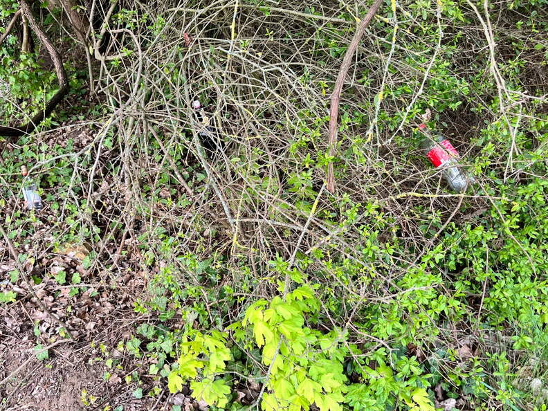 22-04-25 10-50-24 0613